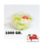 Contenitori PET per Insalata Tondi Gr. 1000 PZ. 50