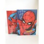 MARVEL - DIARIO THE AMAZING SPIDER-MAN