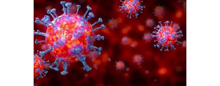 DPI di Protezione Coronavirus,Igienizzante,Sanificane,Guanti Monouso