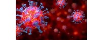 DPI di Protezione Coronavirus,Igienizzante,Sanificane,Guanti Monouso